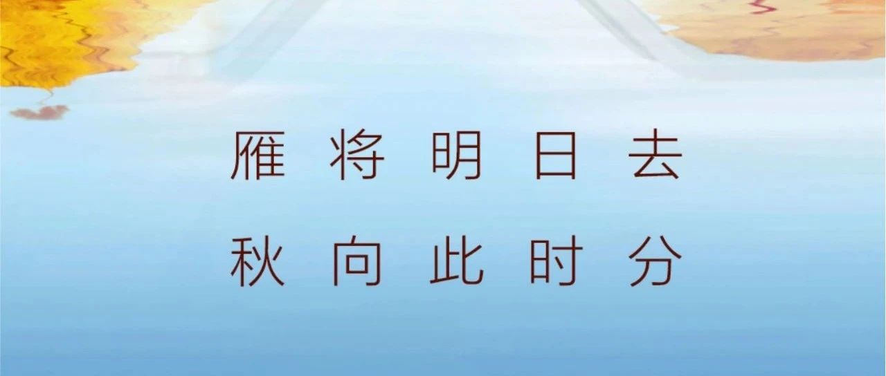 秋分 | 雁將明日去  秋向此時(shí)分！